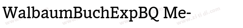 WalbaumBuchExpBQ Me字体转换 WalbaumBuchExpBQ Me字体转换